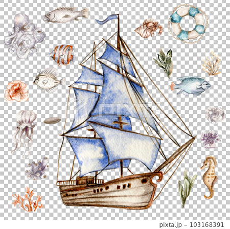 watercolor set of seashells, seahorse, starfish, bubbles on an isolated white background, hand drawing, summer sea clipart 103168391