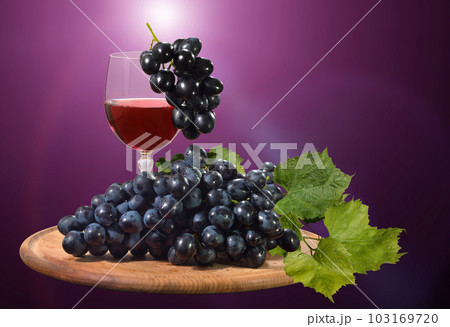 Blue, juicy grapes on a purple background Blue, juicy grapes on a purple background 103169720