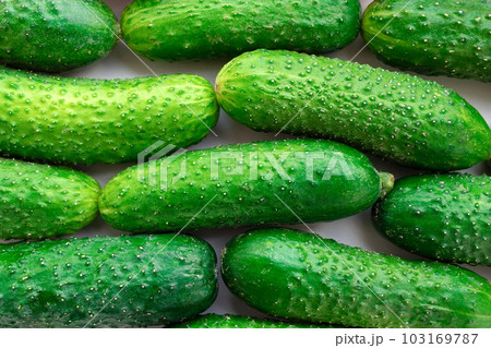 Green cucumbers in the supermarket close-up. Organic food. Agriculture, Farmers food 103169787