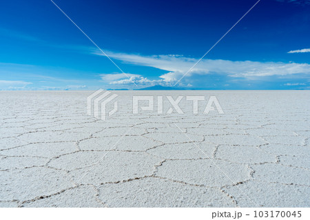 Uyuni Salt Flats on Sunny Day. Salar De Uyuni. Altiplano, Bolivia. Dry Season. Hexagonal Salt 103170045