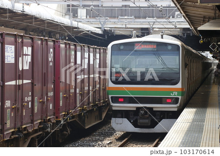 大宮駅に停車中の湘南新宿ラインE231系電車 103170614