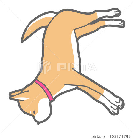 昼寝中の柴犬のベクターイラスト 103171797