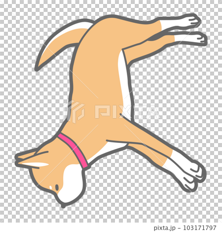 昼寝中の柴犬のベクターイラスト 103171797