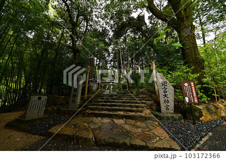 眞名井神社より 眞名井神社より 103172366