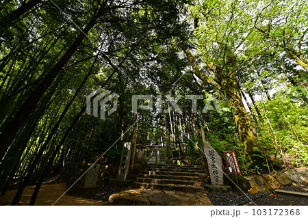 眞名井神社より 眞名井神社より 103172368