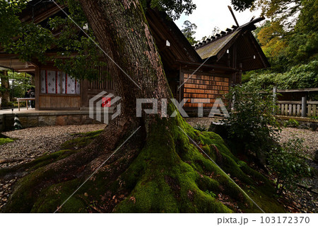 籠神社より 籠神社より 103172370