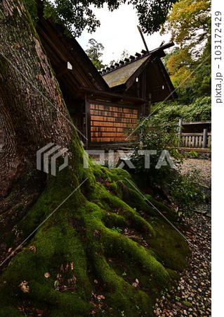 籠神社より 籠神社より 103172429
