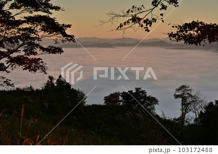 八上城からの雲海 八上城からの雲海 103172488