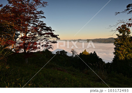 八上城からの雲海 103172493