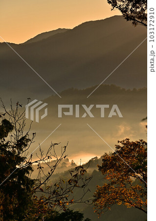 八上城からの雲海 八上城からの雲海 103172910