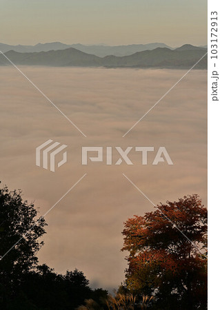 八上城からの雲海 八上城からの雲海 103172913