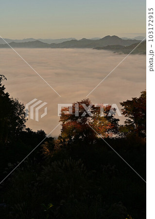 八上城からの雲海 八上城からの雲海 103172915