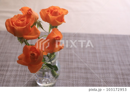 オレンジ色のミニバラ 103172953