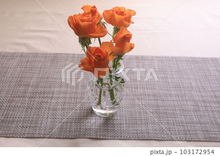 オレンジ色のミニバラ 103172954