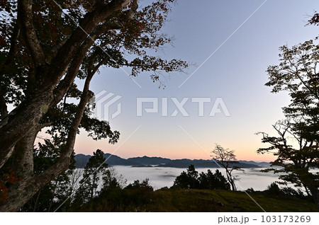 八上城からの雲海 103173269