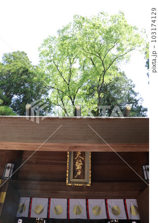 神話の里 高千穂 天岩戸神社 103174129