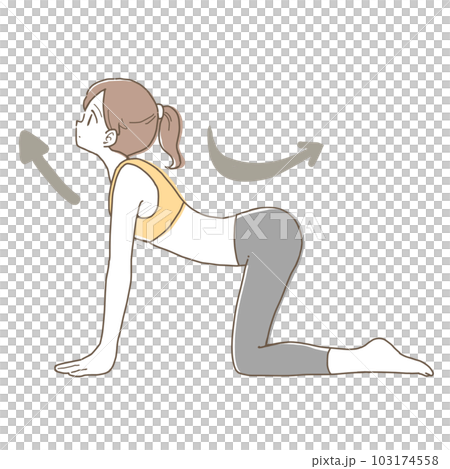 Illustration of yoga women's "cat pose" Illustration of yoga women's "cat pose" 103174558