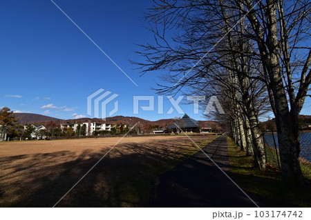秋の矢ケ崎公園 秋の矢ケ崎公園 103174742