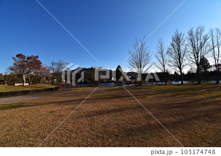 秋の矢ケ崎公園 秋の矢ケ崎公園 103174748