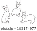 リアルなうさぎのイラスト　色々なポーズ 103174977