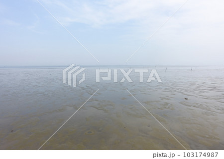干潟の風景 干潟の風景 103174987