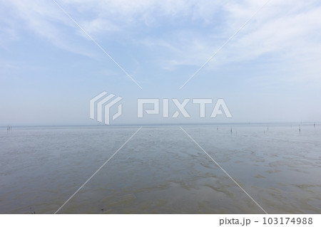 干潟の風景 干潟の風景 103174988