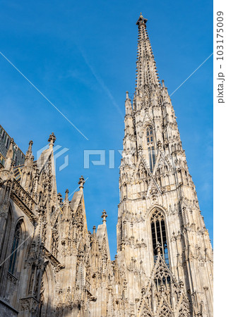 St. Stephen Cathedral Stephansdom in Stephansplatz in Vienna Austria St. Stephen Cathedral Stephansdom in Stephansplatz in Vienna Austria 103175009