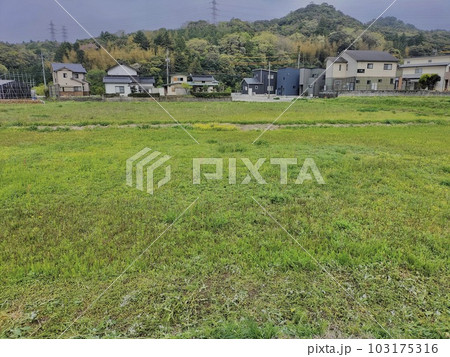 耕作放棄地の風景 103175316
