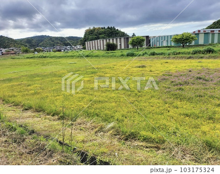 耕作放棄地の風景 103175324