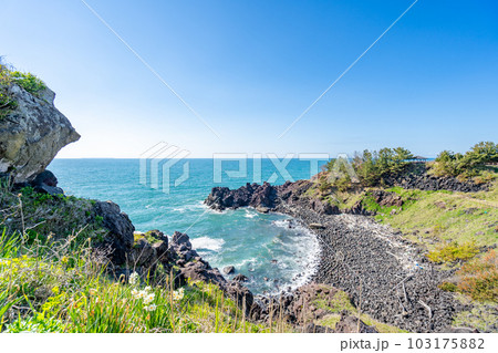 三崎公園 観音崎 三崎公園 観音崎 103175882