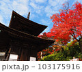 善峯寺の紅葉と多宝塔 103175916