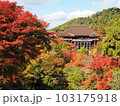紅葉の清水寺本堂 103175918