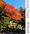 紅葉の今熊野観音寺参道 103175919