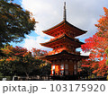 紅葉の清水寺子安塔 103175920