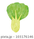 チンゲン菜 103176146