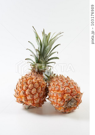 スナックパイン(ボゴール)の実を白背景で スナックパイン(ボゴール)の実を白背景で 103176989