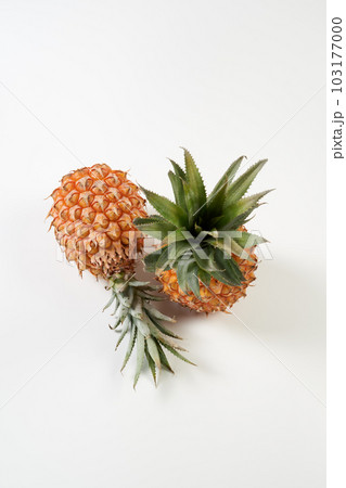 スナックパイン(ボゴール)の実を白背景で スナックパイン(ボゴール)の実を白背景で 103177000