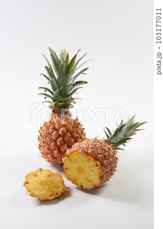 スナックパイン(ボゴール)の実を白背景で スナックパイン(ボゴール)の実を白背景で 103177011