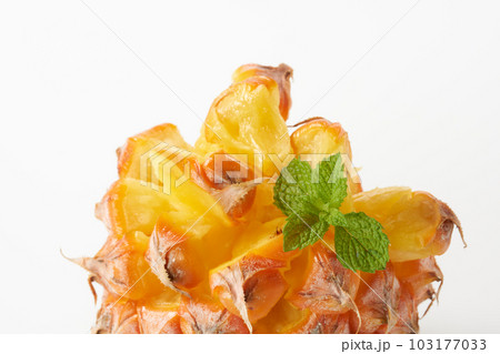 スナックパイン(ボゴール)の実を白背景で スナックパイン(ボゴール)の実を白背景で 103177033