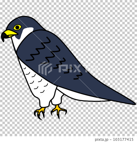流行和可愛的獵鷹插圖 103177415