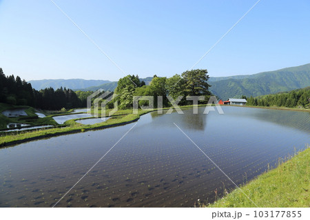 別宮(べっくう)の棚田 / つなぐ棚田遺産選定地区 (ポスト棚田百選 ) 【兵庫県養父市別宮】 別宮(べっくう)の棚田 / つなぐ棚田遺産選定地区 (ポスト棚田百選 ) 【兵庫県養父市別宮】 103177855
