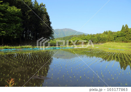 別宮(べっくう)の棚田 / つなぐ棚田遺産選定地区 (ポスト棚田百選 ) 【兵庫県養父市別宮】 別宮(べっくう)の棚田 / つなぐ棚田遺産選定地区 (ポスト棚田百選 ) 【兵庫県養父市別宮】 103177863