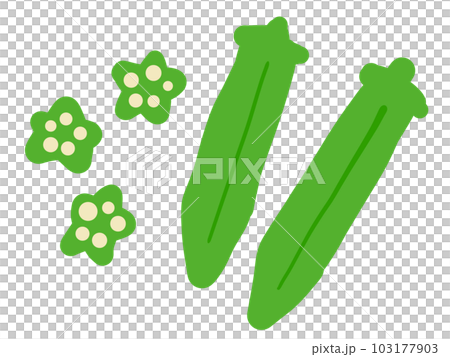 かわいい2本のオクラとカットしたオクラ/手描きイラスト素材 かわいい2本のオクラとカットしたオクラ/手描きイラスト素材 103177903
