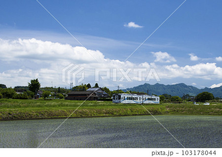 下阿蘇の田園を走るMT4000型列車 下阿蘇の田園を走るMT4000型列車 103178044