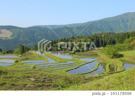 氷ノ山を望む別宮(べっくう)の棚田/つなぐ棚田遺産選定地区 (ポスト棚田百選 )【兵庫県養父市別宮】 氷ノ山を望む別宮(べっくう)の棚田/つなぐ棚田遺産選定地区 (ポスト棚田百選 )【兵庫県養父市別宮】 103178086