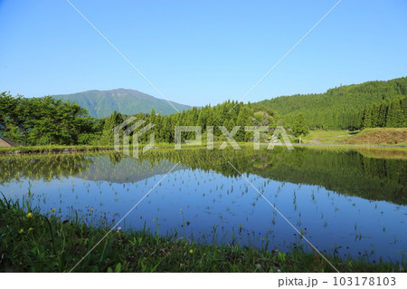 氷ノ山を望む別宮（べっくう）の棚田／つなぐ棚田遺産選定地区 (ポスト棚田百選 )【兵庫県養父市別宮】 103178103