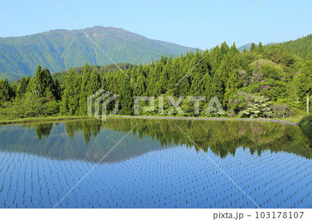 氷ノ山を望む別宮（べっくう）の棚田／つなぐ棚田遺産選定地区 (ポスト棚田百選 )【兵庫県養父市別宮】 103178107