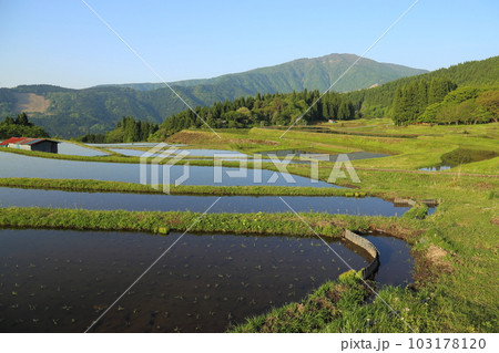 氷ノ山を望む別宮(べっくう)の棚田/つなぐ棚田遺産選定地区 (ポスト棚田百選 )【兵庫県養父市別宮】 氷ノ山を望む別宮(べっくう)の棚田/つなぐ棚田遺産選定地区 (ポスト棚田百選 )【兵庫県養父市別宮】 103178120