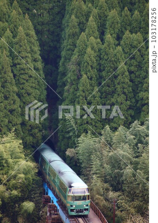 森から現れる特急ゆふいんの森 103178256