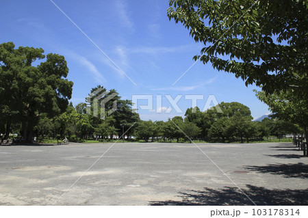 駿府城公園・東御門前広場/静岡県静岡市葵区駿府城公園1 駿府城公園・東御門前広場/静岡県静岡市葵区駿府城公園1 103178314